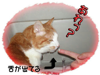 《《《《♪♪(*´▽`*)ノ゛うふふ~