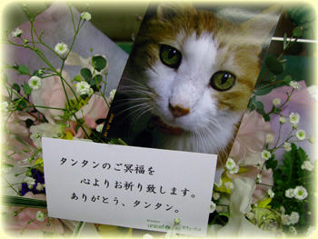 黒豆ママさんから…