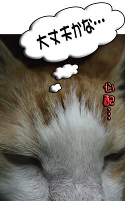 不安だね…