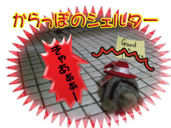 ごめんね。。