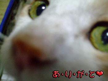 本当にありがと。