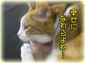 大丈夫だよ、タンタン…