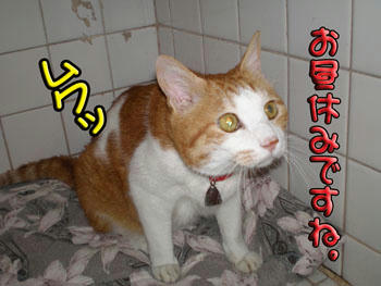 いいから寝ていなさいよ（笑）