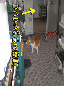 あまり長居はダメですよー