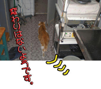 ないですから…