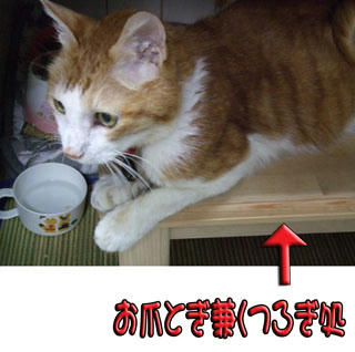 いつも愛用してたね。