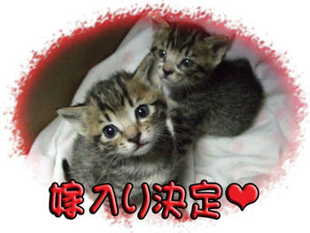 可愛いもんね…