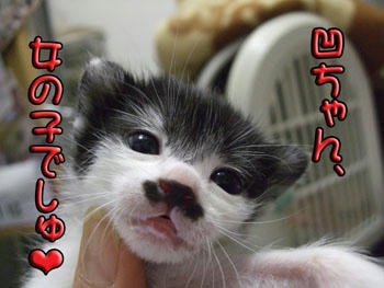 こっちもかわゆす～❤
