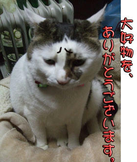 ちゃんとお礼を言いなさい！