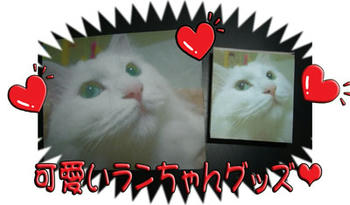 (ﾉ´▽｀)ﾉｵｵｵｵｯ♪ランちゃんグッズ♪
