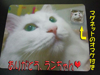 misarinさん　ありがとーー！