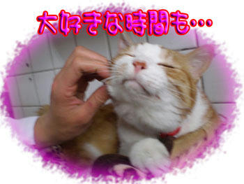 気持ちいいね…