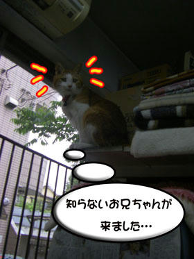逃げてった～（笑）