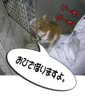 しっこが出るのかな？