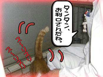 甘えてるタンタン❤