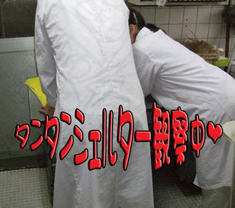 爆睡タンタンの事はずーーっと見てても飽きなかった…