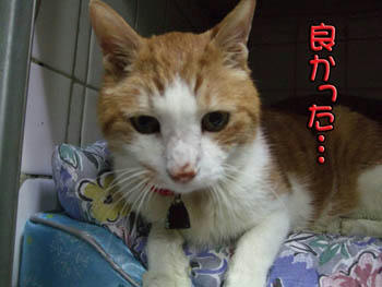 良かったね、本当に…