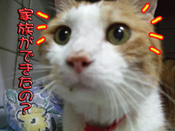 そうだよ、タンタン♪