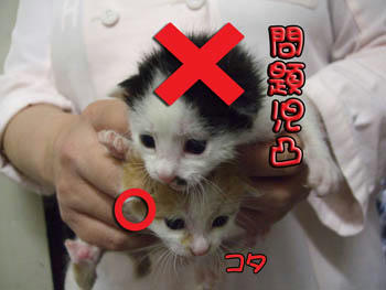 デッカイ×だねぇ～～～