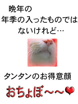 おちょぼ～❤