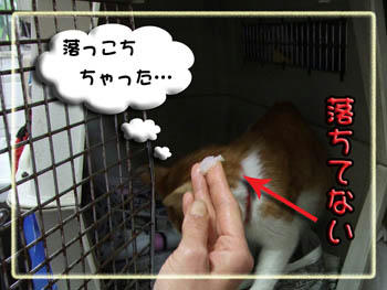 少しも無駄にしない！