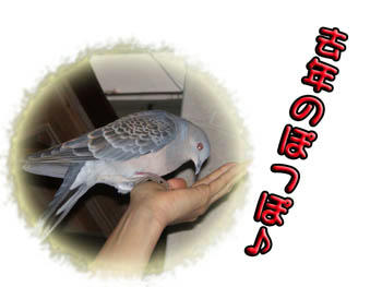 餌付け？（笑）