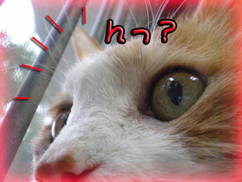 ぽっぽ～発見♪
