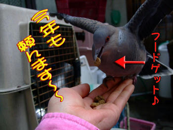 ゆっくり食べなさい。(⌒-⌒)ﾆｺﾆｺ...