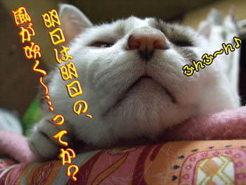 お気楽ね～～