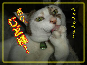 ヽ(∴｀┏Д┓´)ﾉ彡☆ｺﾗｰｯ!