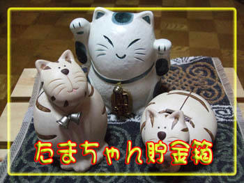 しかも3個もあるし…