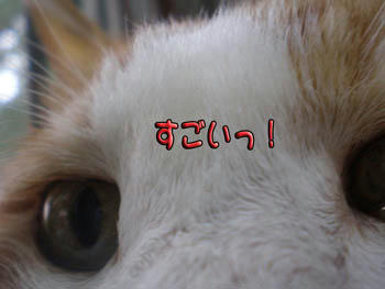 本当に凄いね!