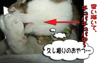まだあげないよ。(*≧ｍ≦*)ﾌﾟﾌﾟｯ
