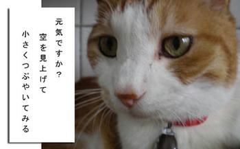 らぶゆ❤