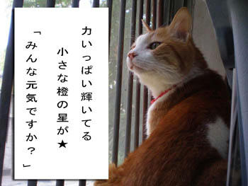 らぶゆ❤
