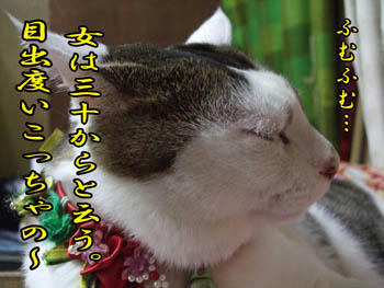 また余計な事を…(￣‥￣；) 