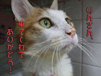 ＼(*T▽T*)／ﾜｰｲ♪