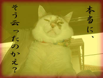 ...(((((￣‥￣；) ﾏ､ﾏｽﾞｲ