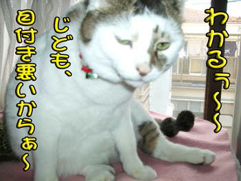 ちょっと違うぞ！