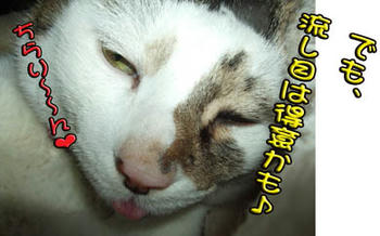 ∑(￣皿￣；； ﾝｶﾞｧｰｰｰ!!!