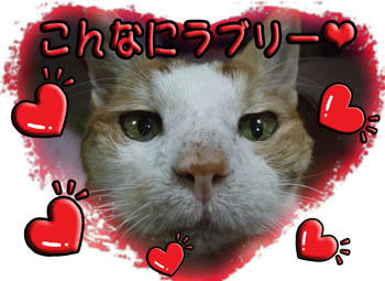 (v_v｡)人(｡v_v)ﾎﾟｯ♪