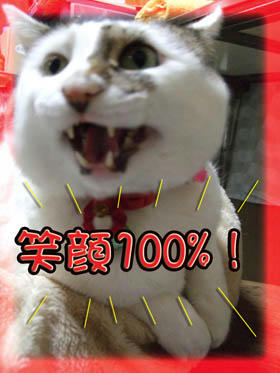 この顔を見せて!