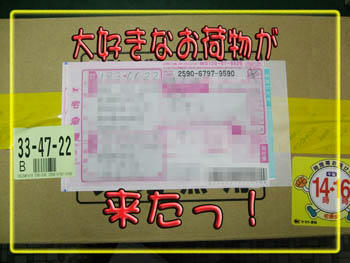 ヽ(^◇^*)/ ﾜｰｲ　誰からだろう？