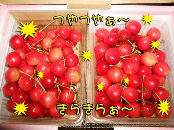 美しすぎるぅ～