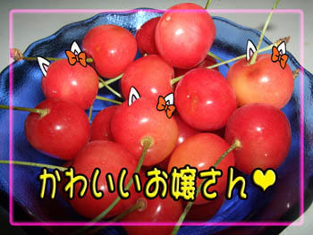 久し振りに”ネコ耳”を付けてみた(笑)