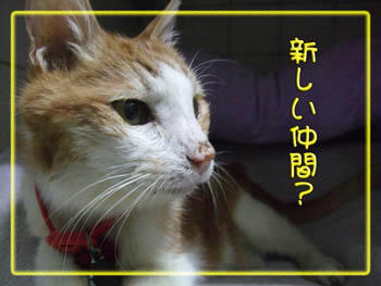 誰だろう。。