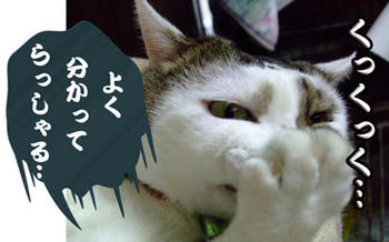 ヾ(▼ﾍ▼；)ｵｲｺﾗ!