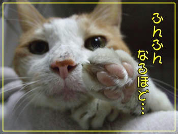 タンタンは知ってる。。