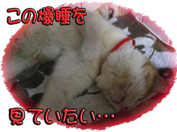 気持ちいいね❤