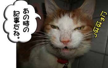 タンタン、お顔が邪悪だよ。（笑）